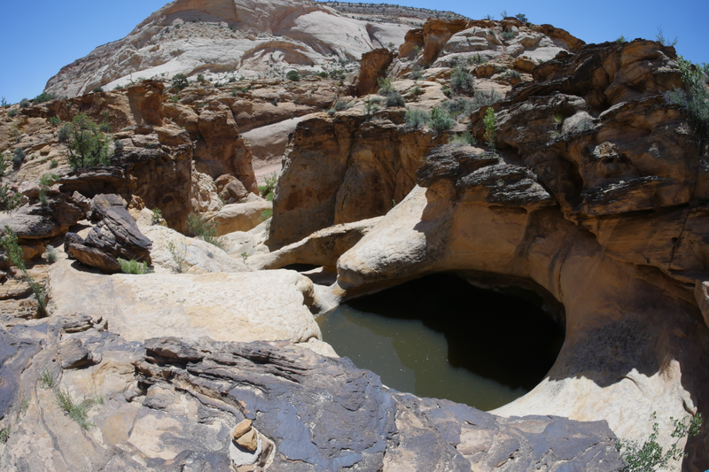 Illustration for article titled Capitol Reef - A not overlanding post